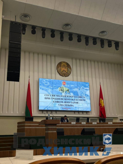 Молодёжь ФЗХ_молодёжный Совет_2.jpeg